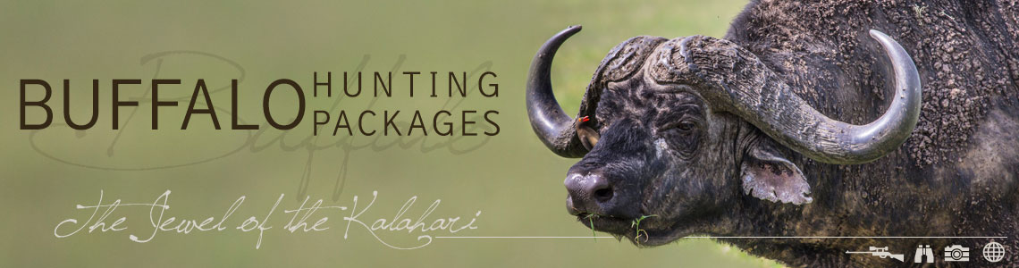 Cape Buffalo Hunting in South with Tinashe
