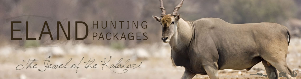 Cape Eland Hunting Packages