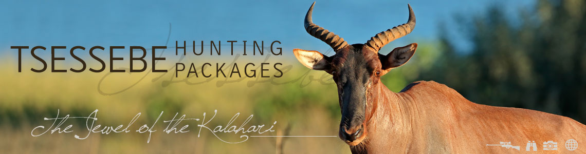 Hunting Tsessebe in South Africa