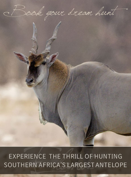 Book Your Eland Hunt with Tinashe